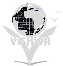 Vishwa Infra logo logo