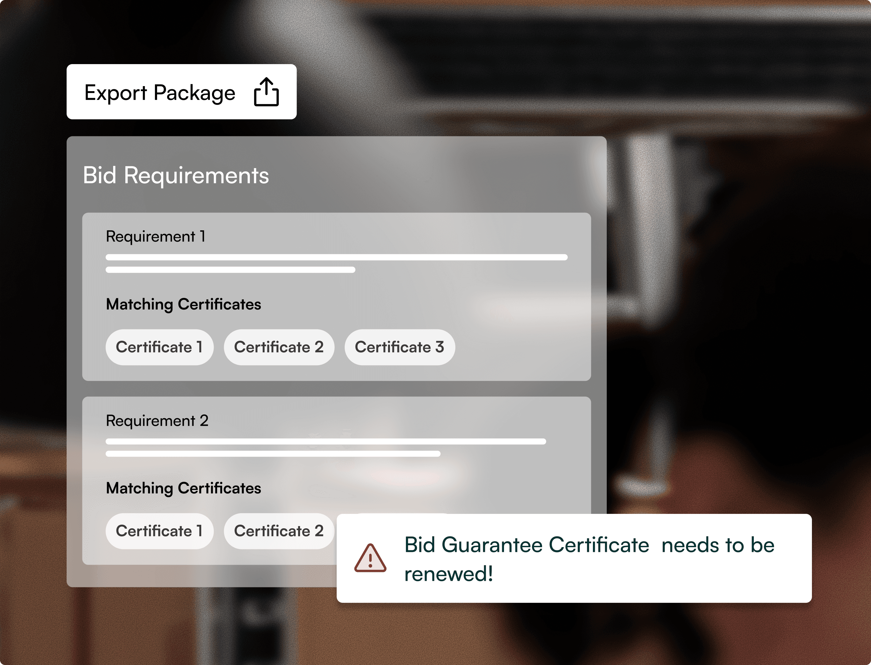 Bid requirements and export package interface