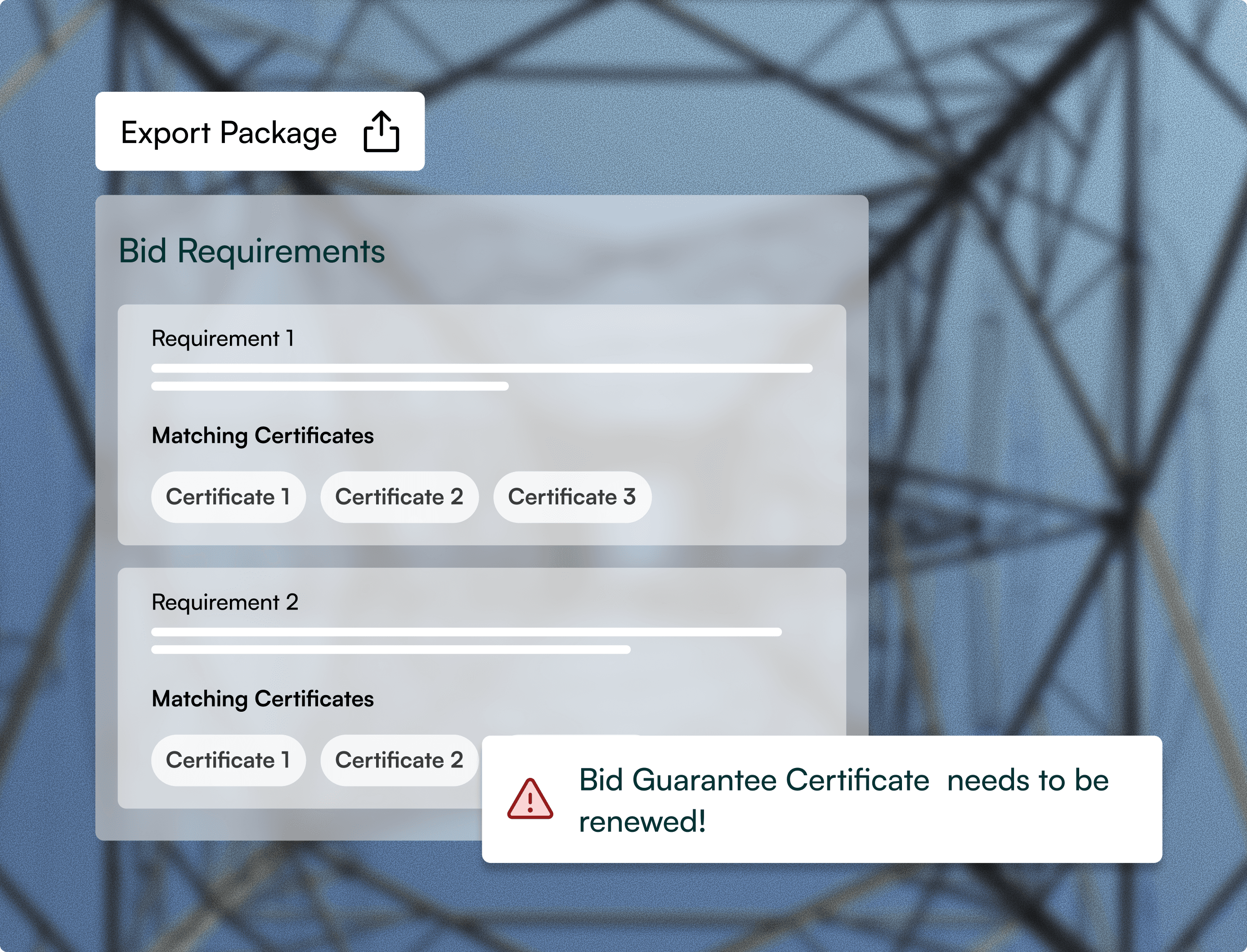Bid requirements and export package interface